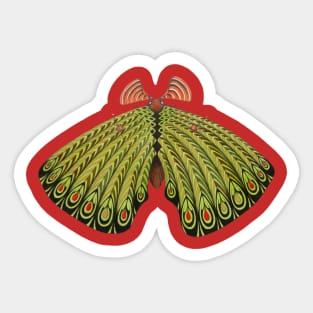 green moth Sticker